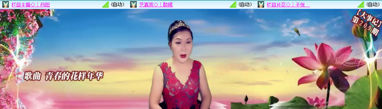 无言🎤V娱热点