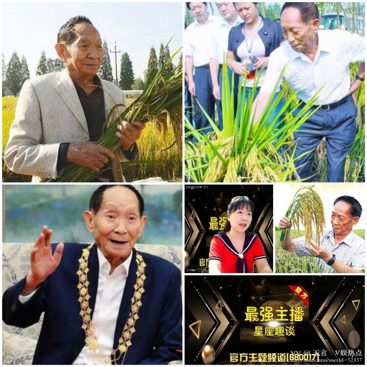 无言🎤V娱热点