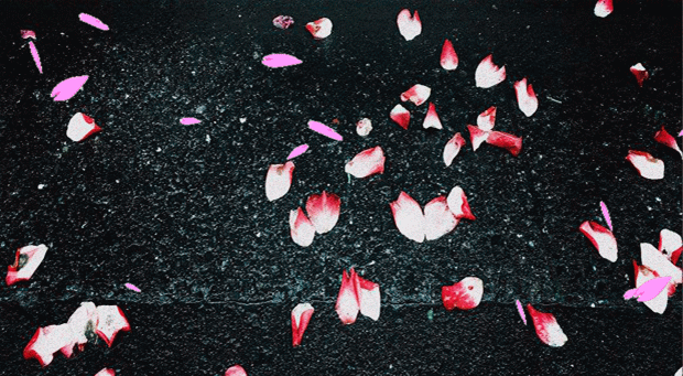 花开花落几多时61辗转流年又一季