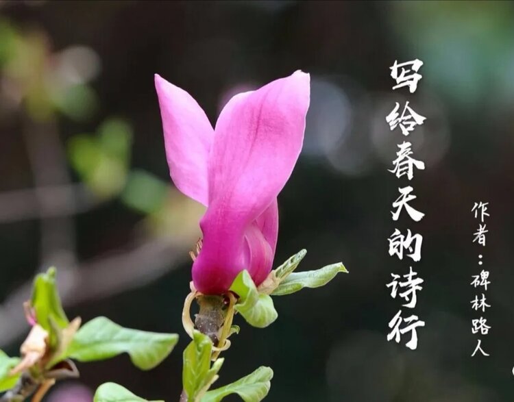 郝丽梅