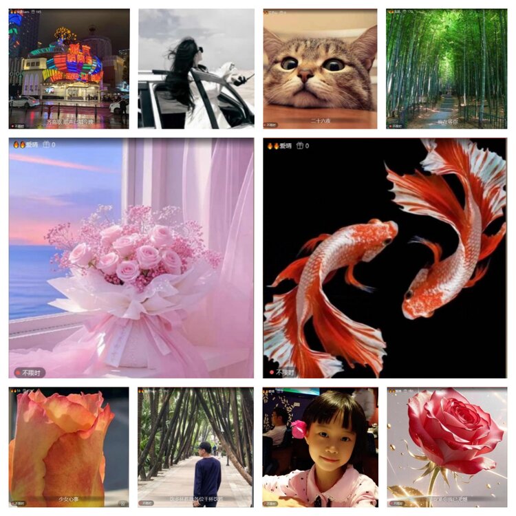 芯薇🎤V娱热点