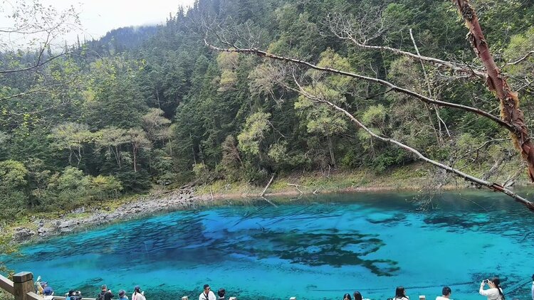 雪儿🎤V娱热点