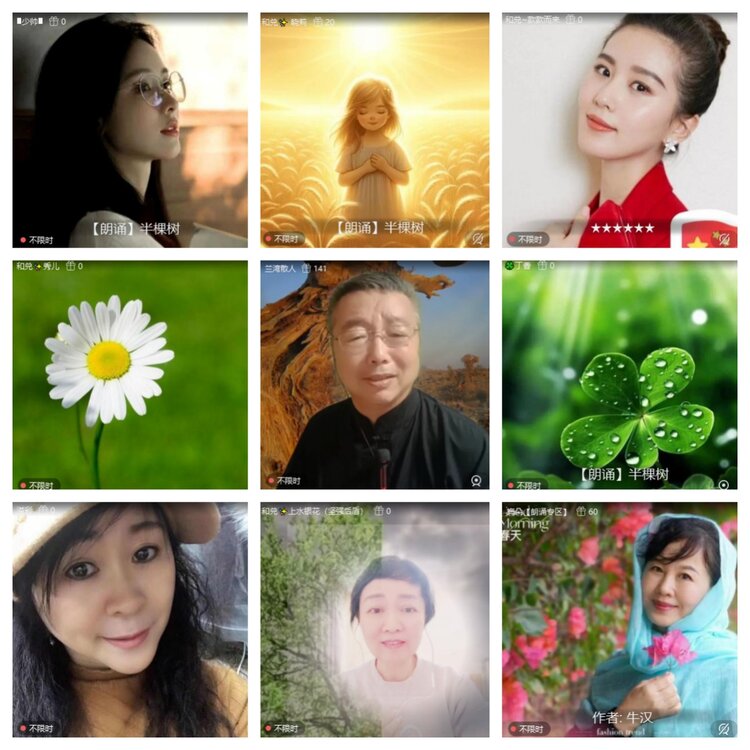 浓茶🎤V娱热点