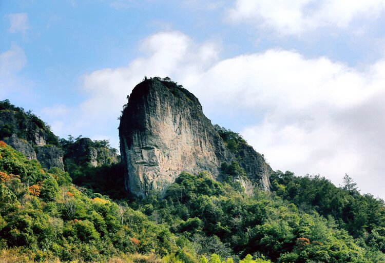 引吭高歌,抒发着内心的情感;一路欣赏着南山深秋的景色;我们:金华南山