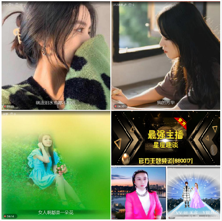 无言🎤V娱热点