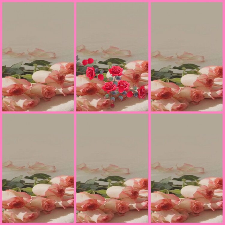 惜缘🎤V娱热点