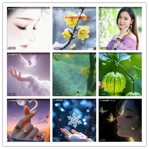 九小九324🎤V娱热点