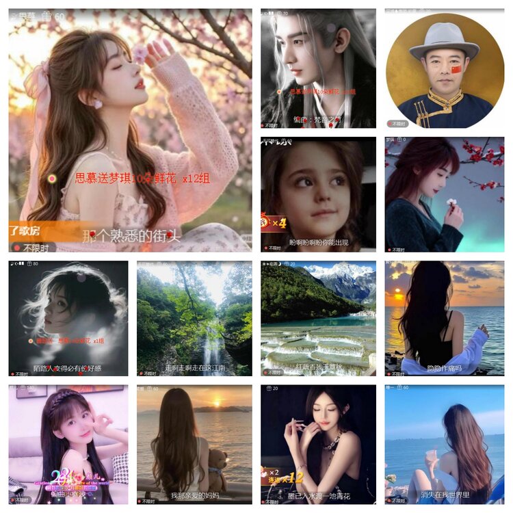 海燕🎤V娱热点