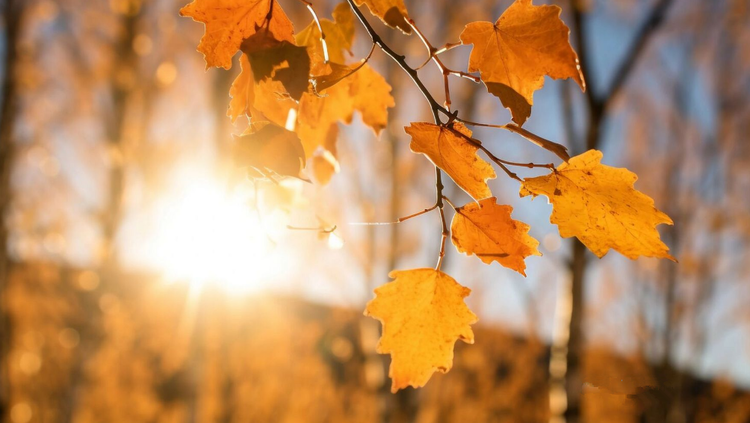 雪儿🎤V娱热点