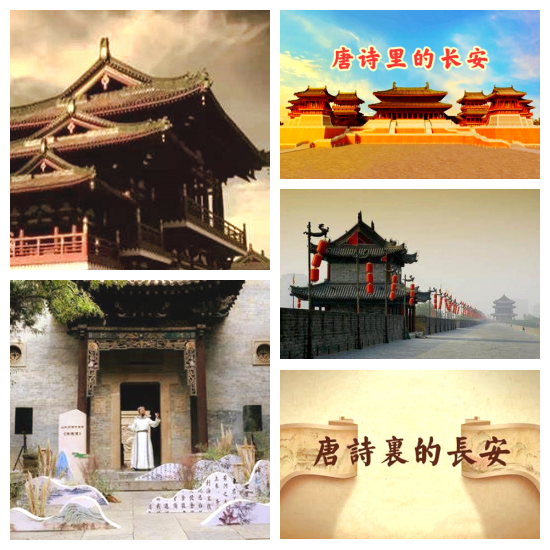 芯薇🎤V娱热点