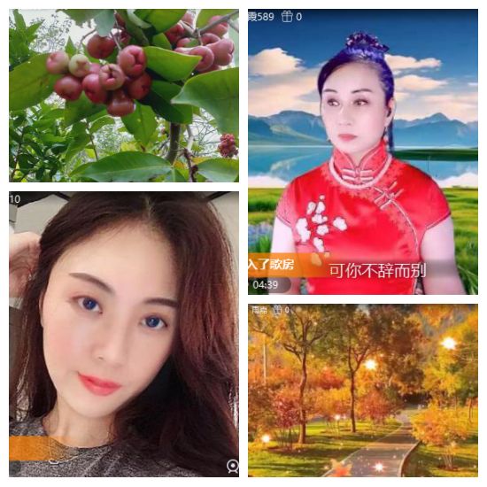 芯薇🎤V娱热点