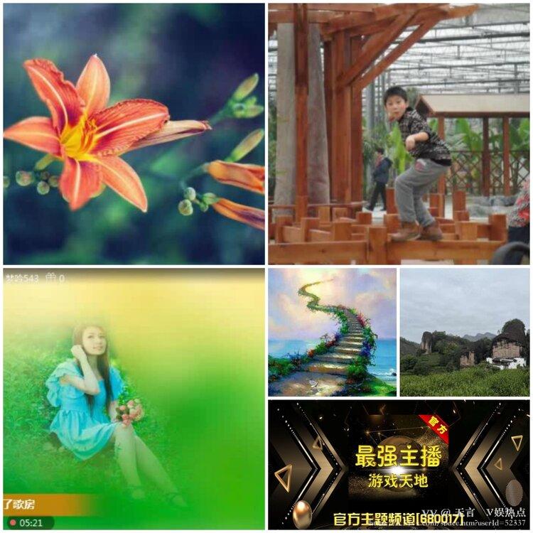 无言🎤V娱热点