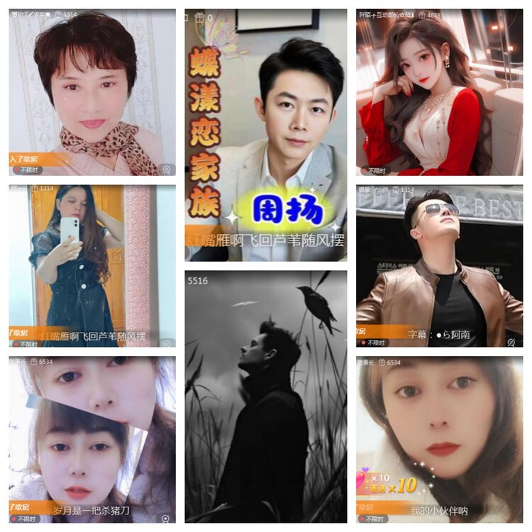 海燕🎤V娱热点