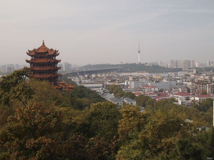 碧林听涛