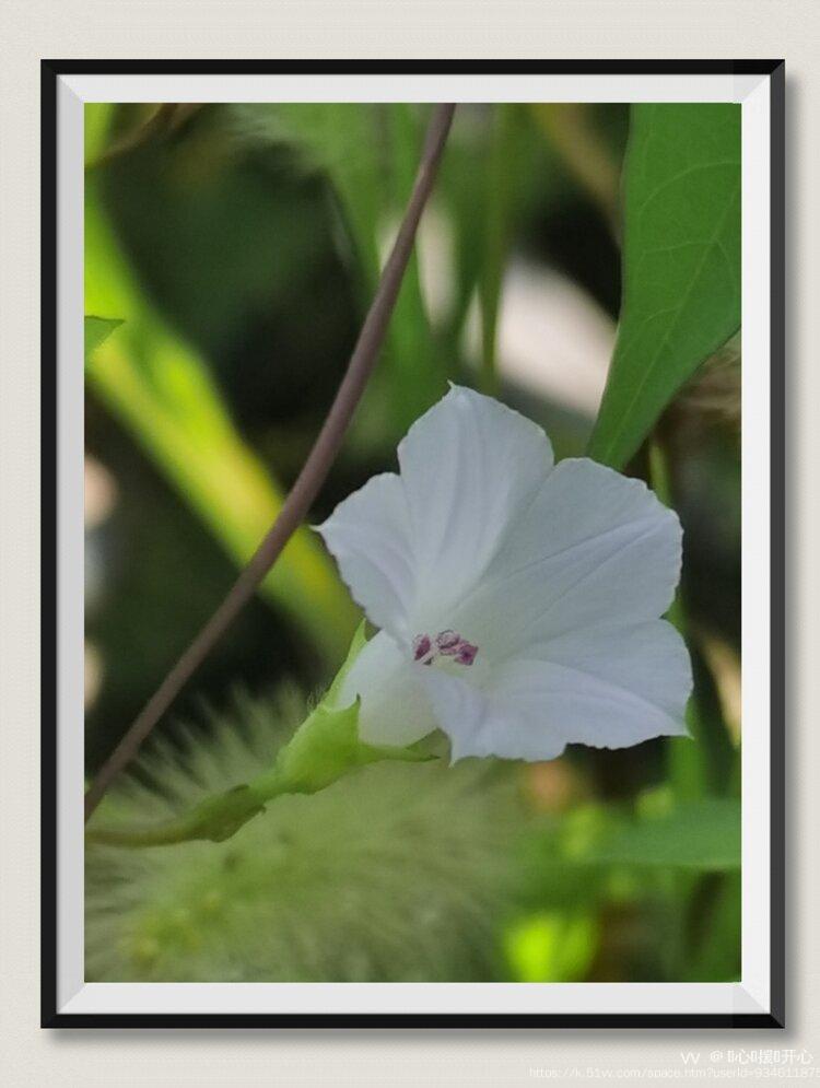 💞心✨援💞开心