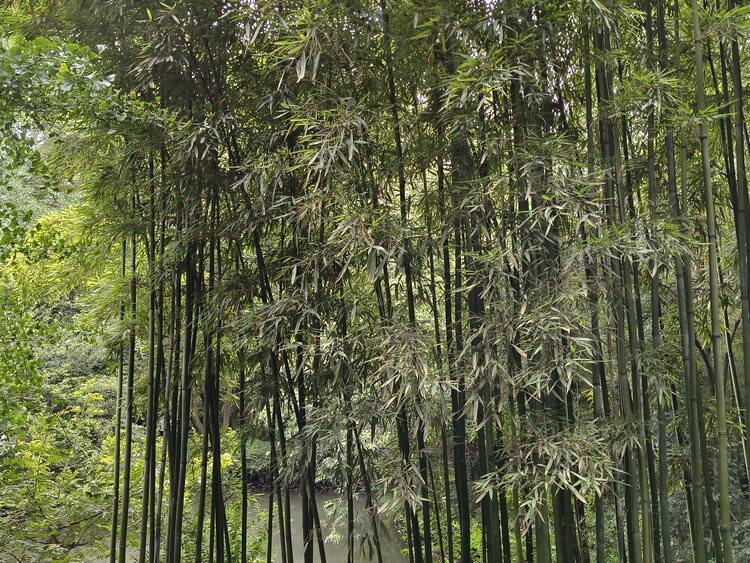 雪儿🎤V娱热点