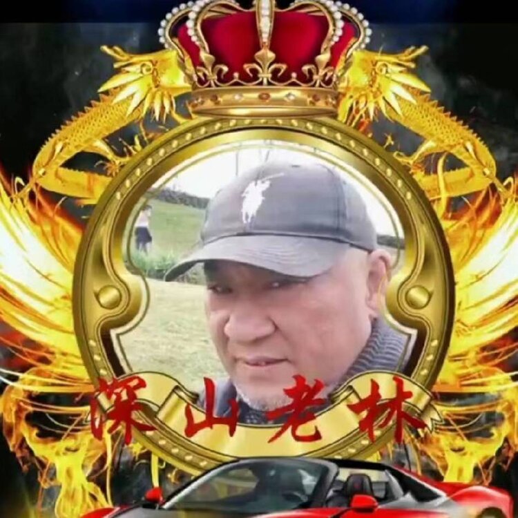 VⅤ深山老林