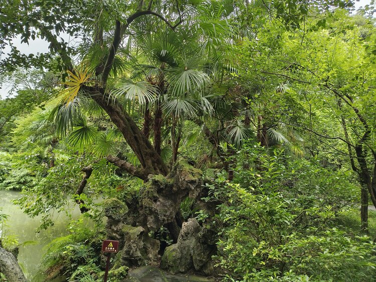 雪儿🎤V娱热点