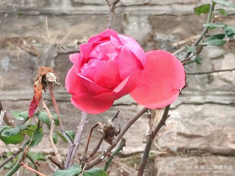 纳兰＿🎤V娱热点