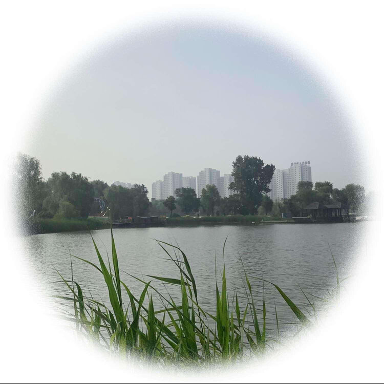 青士李振汉