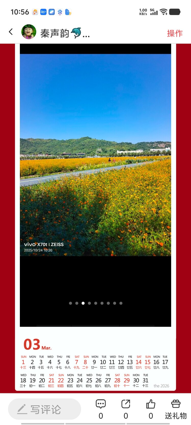 秦声韵🐬✨️🎀柯鳝🎀🌲