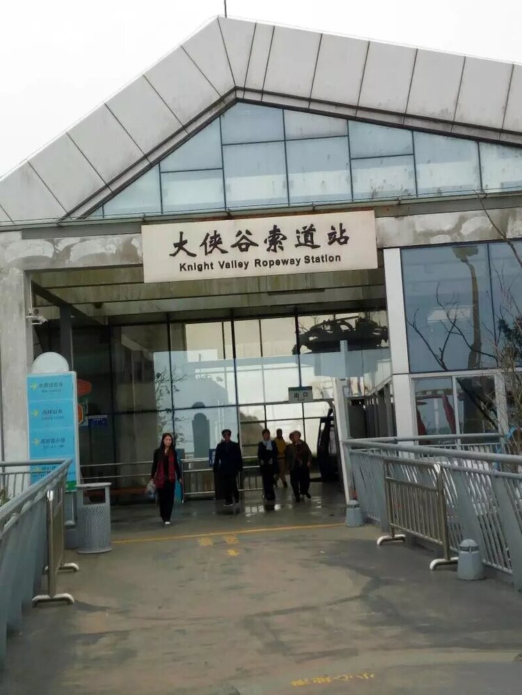 苍松