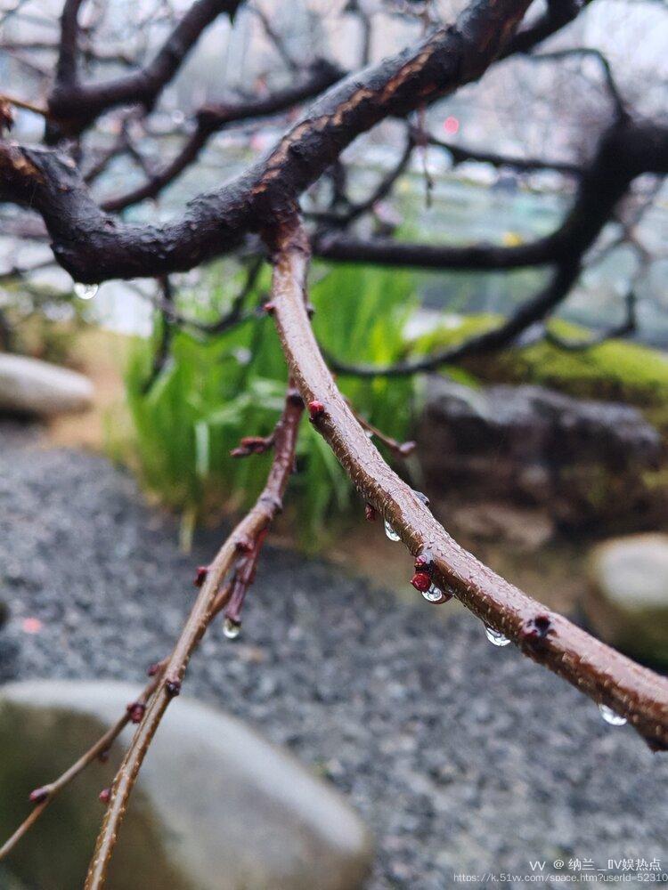 纳兰＿🎤V娱热点