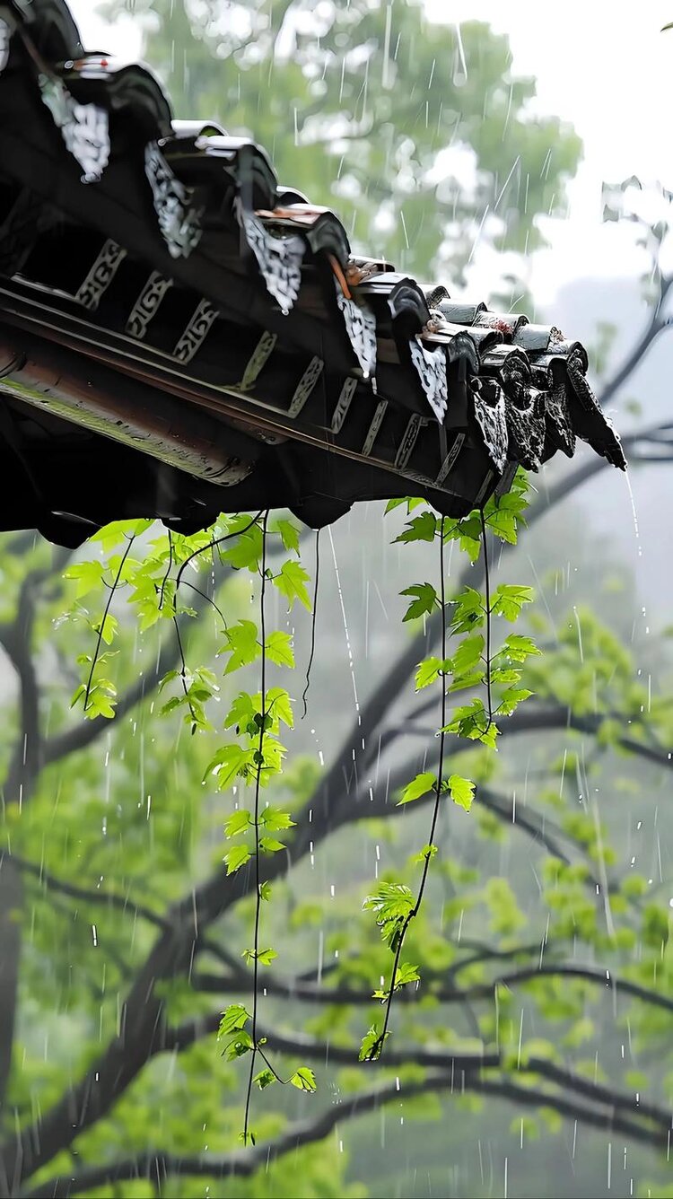 兰草