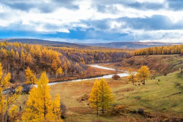 雪儿🎤V娱热点