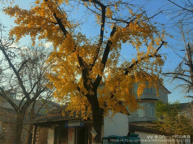 󾓭八一☆ᴶᴳ巴山夜雨