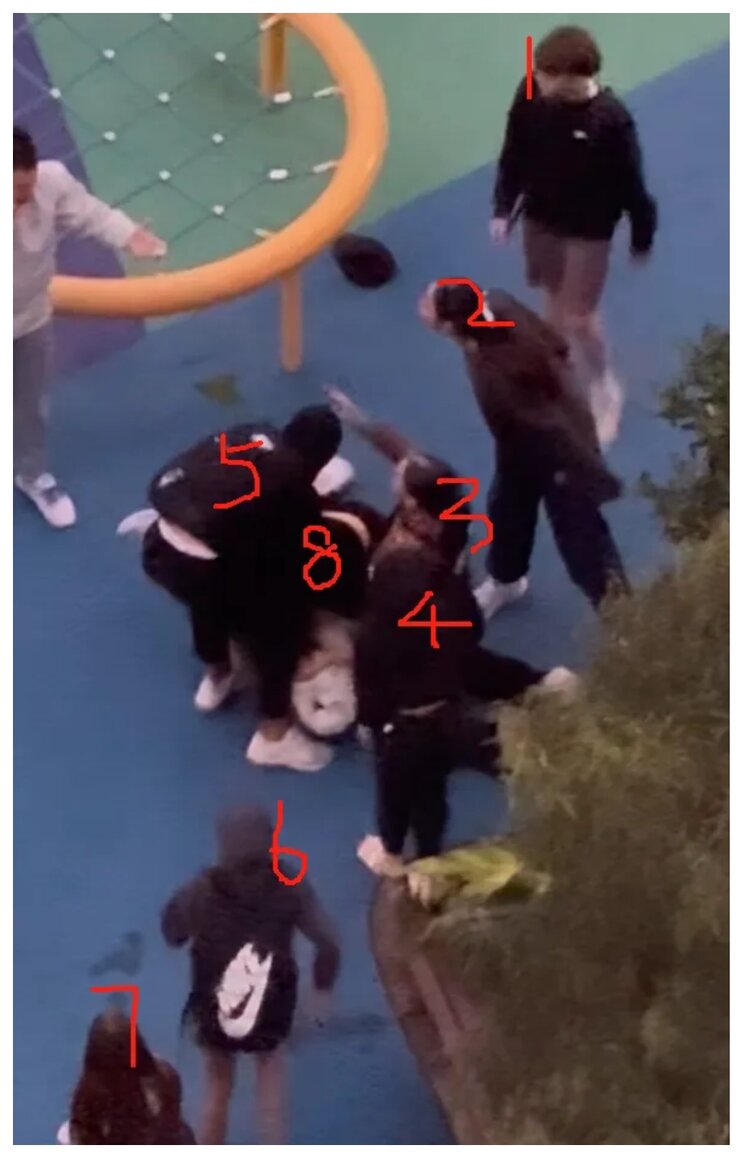 澳洲世界华人公会