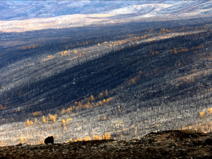 红叶在山那边【西窗剪烛】