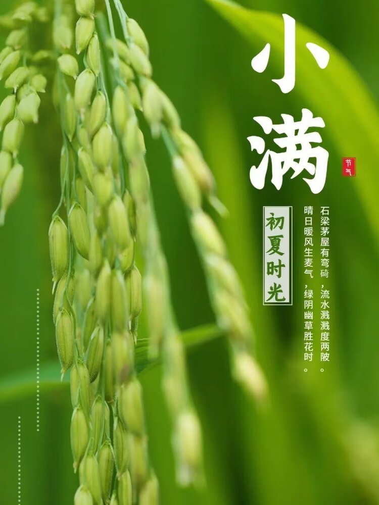 银川市诗词学会