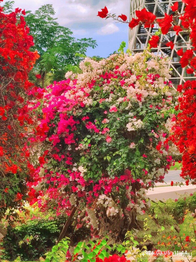 野火烧不尽【美摄视界】