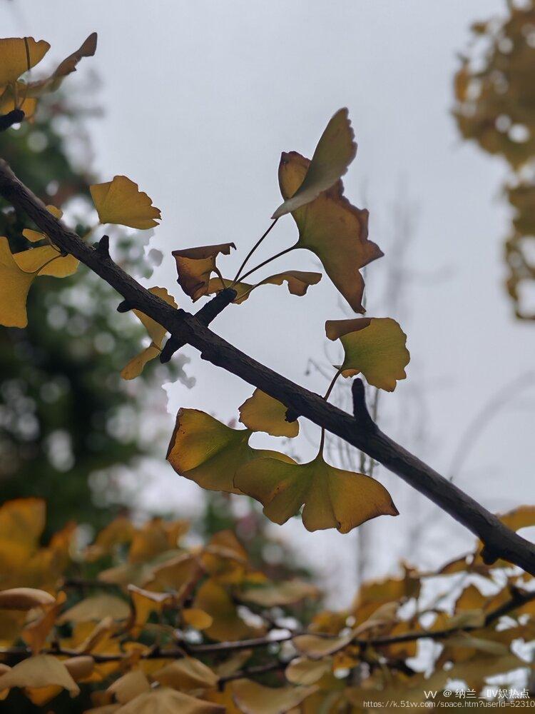 纳兰＿🎤V娱热点