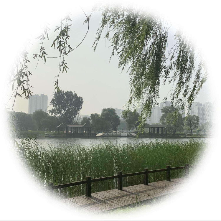 青士李振汉