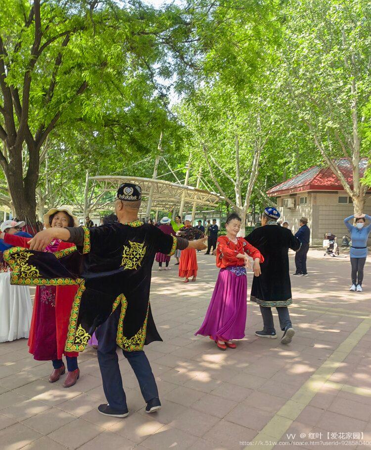 红叶【爱花家园】
