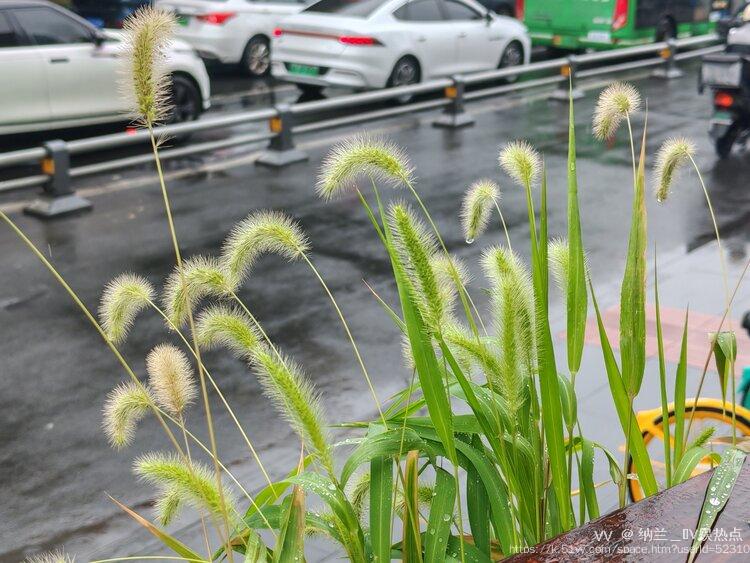 纳兰＿🎤V娱热点