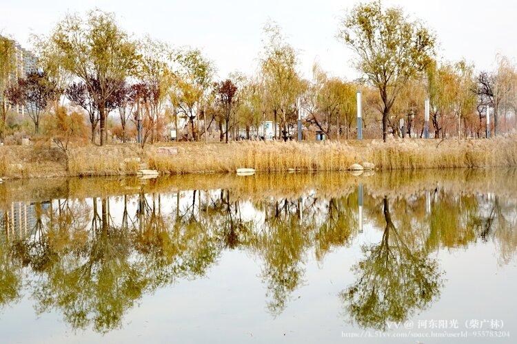 河东阳光（柴广林）