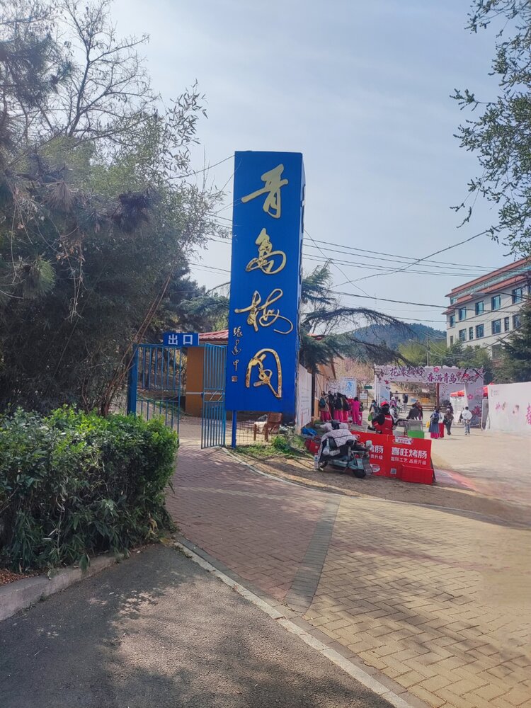 乔安
