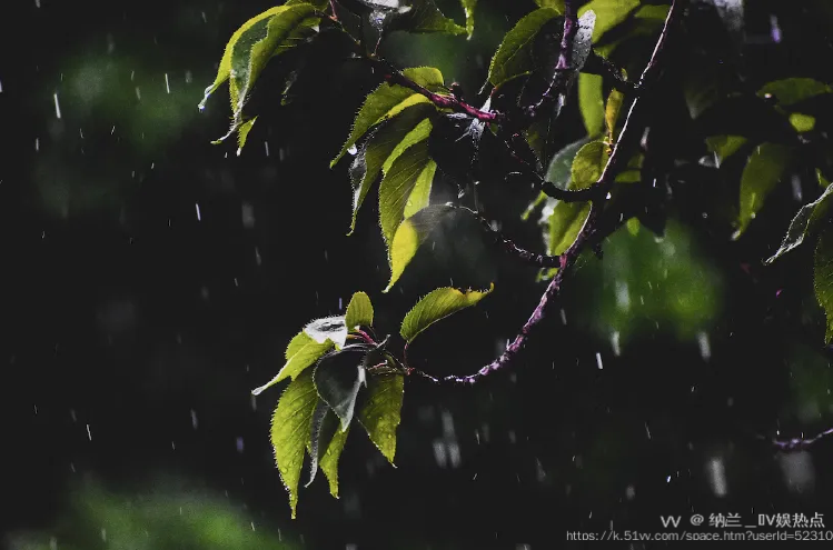 纳兰＿🎤V娱热点