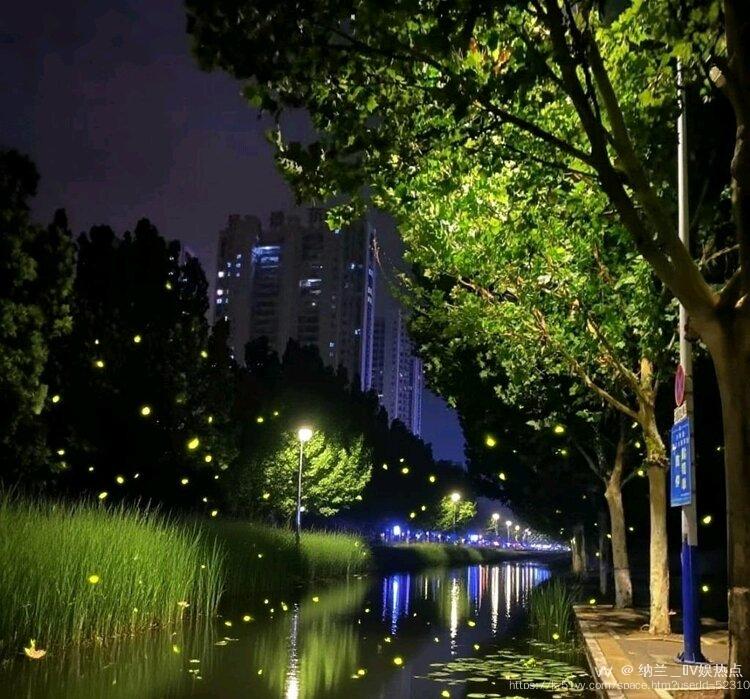 纳兰＿🎤V娱热点