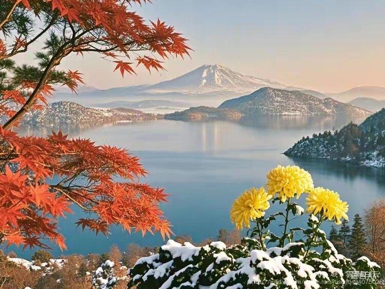 💫 雲鼎🍁白云 
