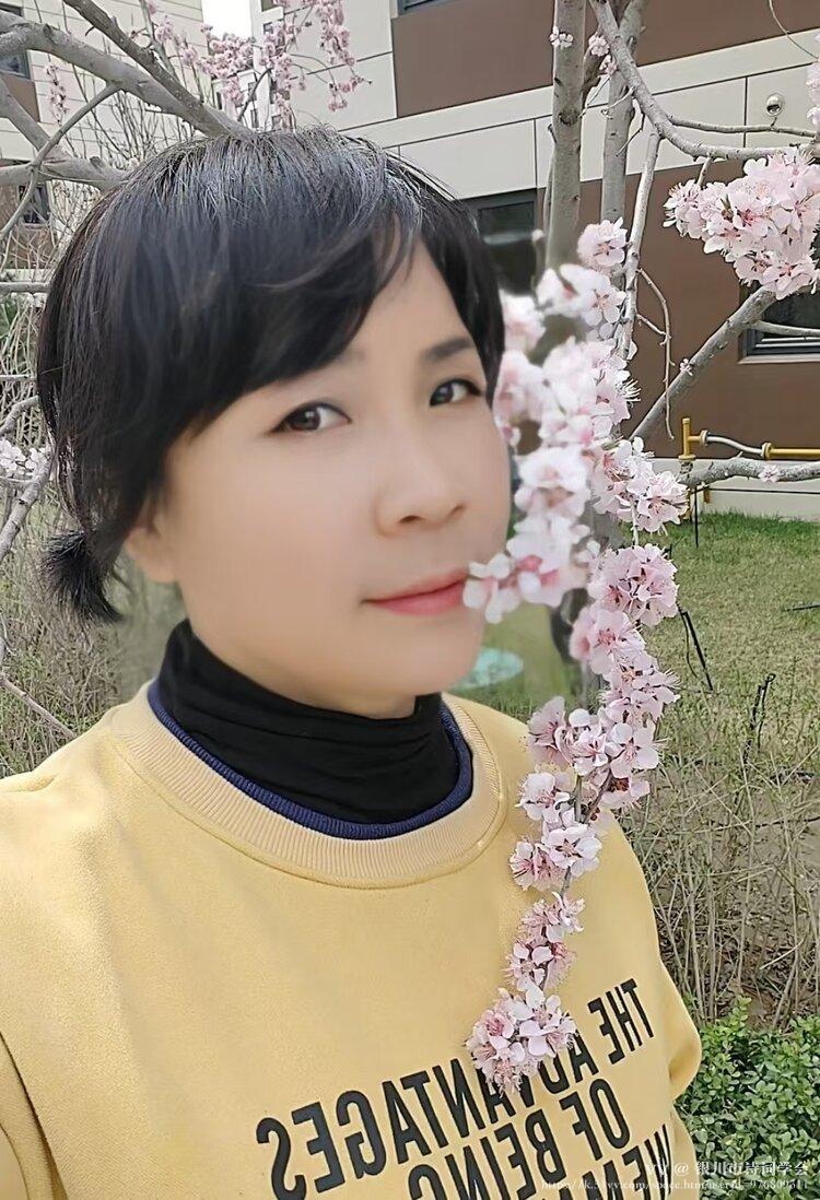 银川市诗词学会