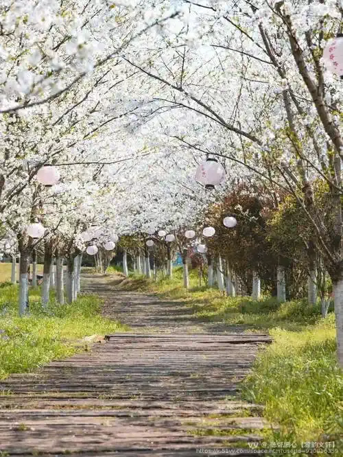 聽聲讀心【雅韵文轩】