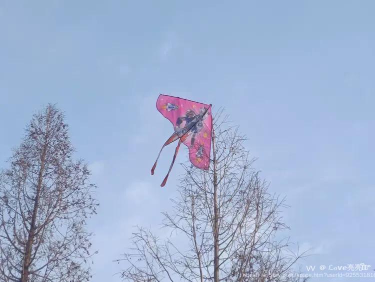 ℒℴѵℯ亮亮ꦿ໊ོ °