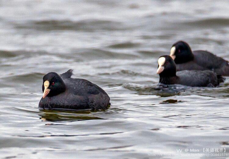 Man 【美摄视界】