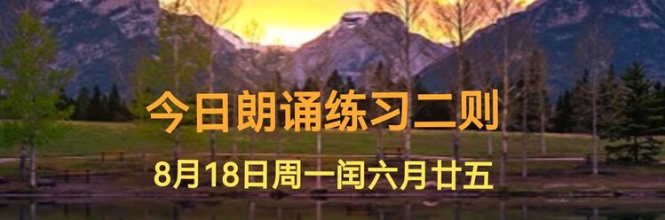 张扬辰