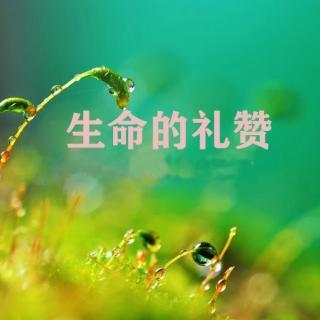 缘子
