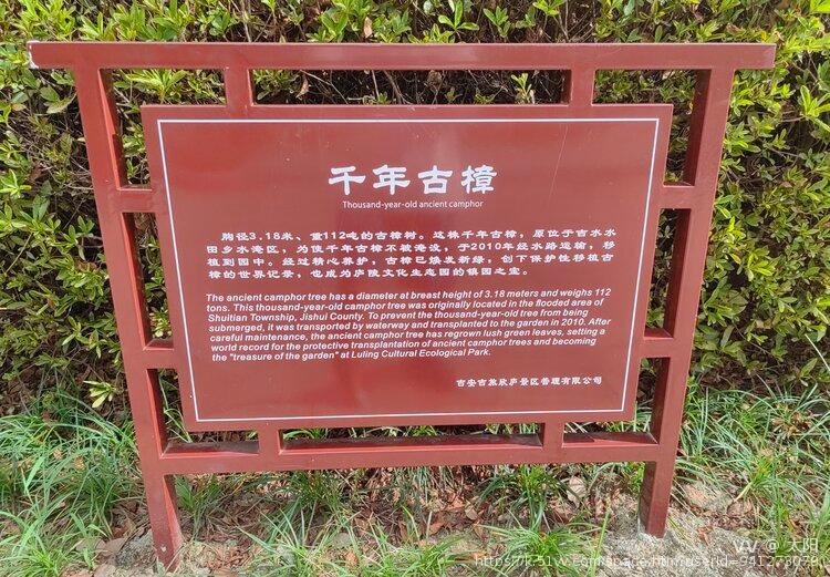 太阳